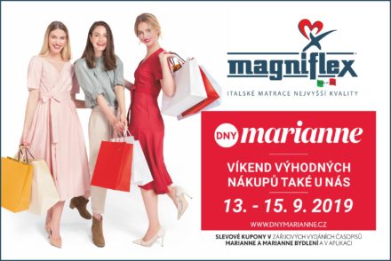 2019_DnyMarianne_Banner